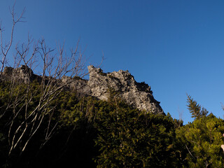 Dramatic Rocky Mountain Peak Against Clear Blue Sky with Pine Tree Silhouettes