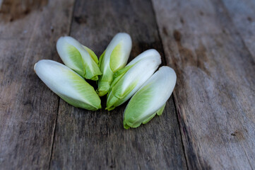 Raw organic Belgian endive ready to use on wooden table