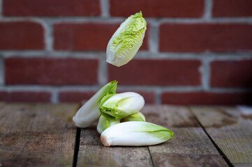 Raw organic Belgian endive ready to use on wooden table