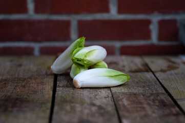 Raw organic Belgian endive ready to use on wooden table