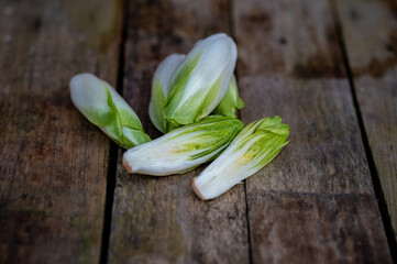 Raw organic Belgian endive ready to use on wooden table