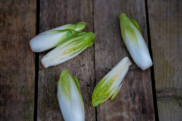 Raw organic Belgian endive ready to use on wooden table