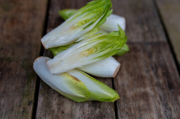 Raw organic Belgian endive ready to use on wooden table