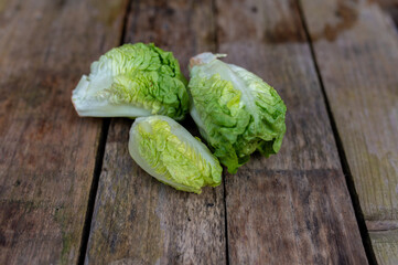 Raw organic Belgian endive ready to use on wooden table