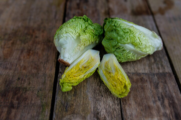 Raw organic Belgian endive ready to use on wooden table