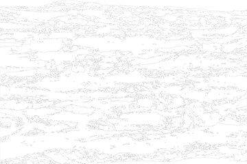 Obraz premium texture vectoe line bark