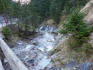 Mountain Stream Cascading Down Rocky Hillside with Lush Green Pine Trees Growing Among White...