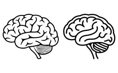 Human Brain Illustration Comparison Detailed vs Simplified Designs cliparts.