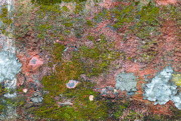 Texture and structure in green, pink and grey-blue colours on a weathered wall up close