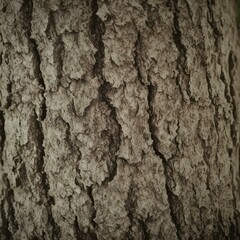 Textured Bark: A close-up shot of a tree's bark reveals its rugged texture, capturing the intricate details and natural patterns formed over time.