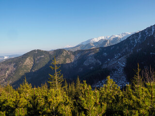 Golden Sunlight Illuminating Majestic Mountain Range with Evergreen Forest in Foreground Under Vibrant Blue Sky