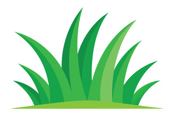Colorful green grass vector art illustration