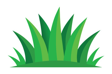 Fototapeta premium Green grass vector art illustration