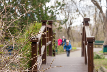 A young child dressed in warm clothing crosses a wooden bridge surrounded by lush greenery. The photograph captures a peaceful and natural outdoor setting perfect for family and exploration themes.