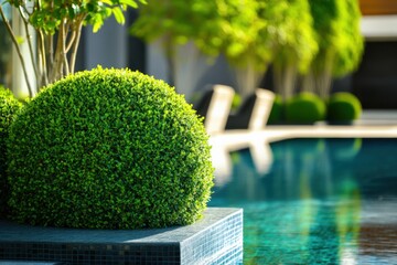 A lush, perfectly trimmed hedge surrounds a serene pool in a manicured garden