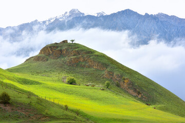 Beautiful view of a green hill illuminated by the sun in front of Mount Tbaukhokh in North Ossetia....