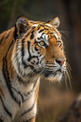 Majestic Tiger Observes Its Surroundings in the Wild Generative AI