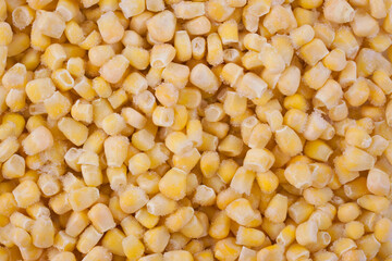 background of frozen and frosty yellow corn kernels
