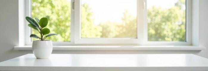 Bright indoor plant on a white windowsill with sunlight streaming through the window creating a serene atmosphere for relaxation and productivity healthy living concept