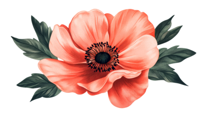 Elegant red flower with leaves on black background, botanical art, cut out transparent