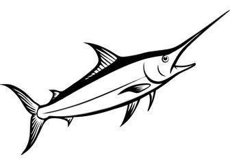 Shark vector illustration isolated on white background