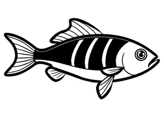 Vector illustration of a fish on a white background