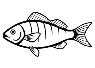 Vector illustration of a fish on a white background