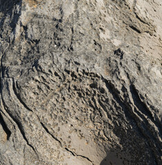 Stone texture, grey background