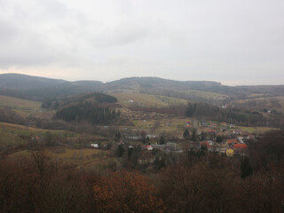 A small town with houses and a few trees