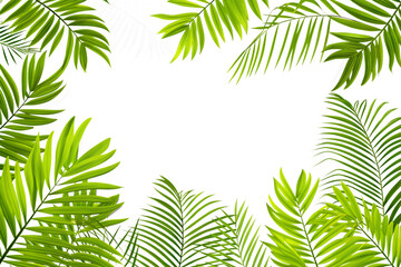 Palm Leaves Frame with Tropical and Christmas Decoration