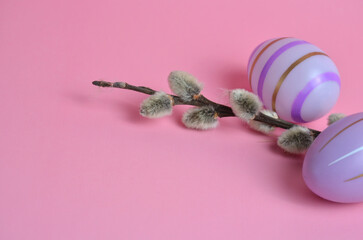 Willow sprig and Easter eggs on a pink background.
