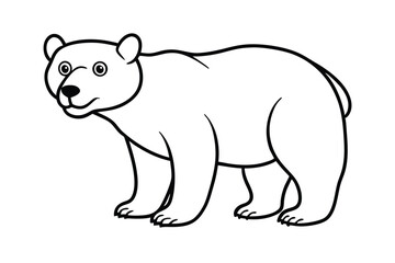 Fototapeta premium polar bear vector
