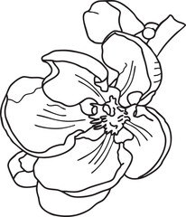 Cherry blossom Flower outline vector illustration Hand-drawn botanical line art Great for wedding decor, invitation, coloring books or cards.