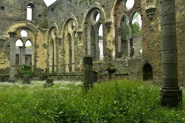 Pelouses et végétation des jardins entourant les ruines de l'abbaye de Villers-la-Ville en Brabant Wallon 