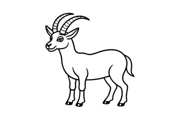 Fototapeta premium vector image of a ibex