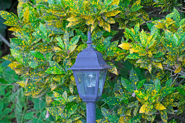 lamp in the garden