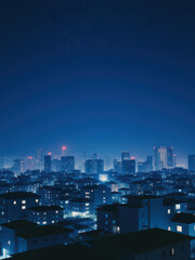Obraz premium Illuminated Skyline Under a Starry Night