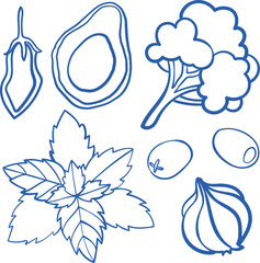 Vector line art sketch of fresh vegetables: broccoli, avocado, garlic, olives and mint