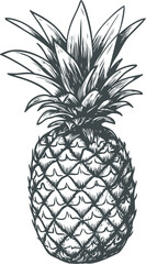 Obraz premium Detailed black and white pineapple illustration sketch with bold outlines. Vector illustration