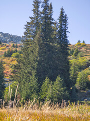 Autumn panorama of Vitosha Mountain, Bulgaria