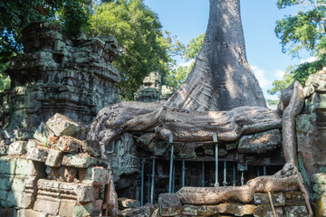 Ta Prohm Temple, Angkor Wat, ancient temples, Khmer civilization, Cambodia
