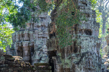 Naklejka premium Ta Prohm Temple, Angkor Wat, ancient temples, Khmer civilization, Cambodia