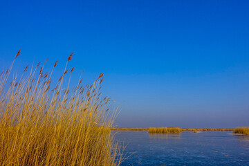 Neusiedler See im Winter, Europas grösster natürlicher Eislauf