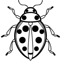 Obraz premium A black and white drawing of a ladybug with many dots on its body. Illustration