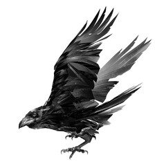 a drawing of a raven in flight on a white background