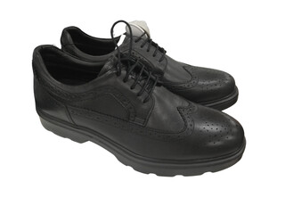 A pair of black leather women’s boots with a low heel, perfect for fall or spring. Classic design with laces, ideal for everyday wear, shot on a transparent background.