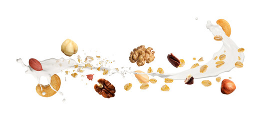 Oat flakes, nuts and splashing milk in air on white background. Banner design