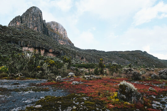Mount Elgon in Kenya