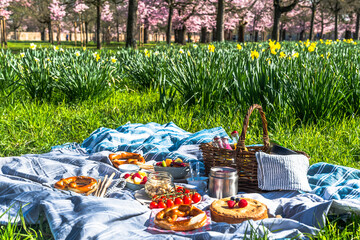 Picnic in a park: picnic basket, bottle of fruit juice, fruits, fruit salad, yogurt, cake, tomatoes