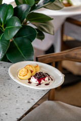 Homemade cheese pancakes served on a white plate with a dollop of cream and berry sauce. The dish sits on a speckled countertop with a cozy green plant and wooden chair in the background.
